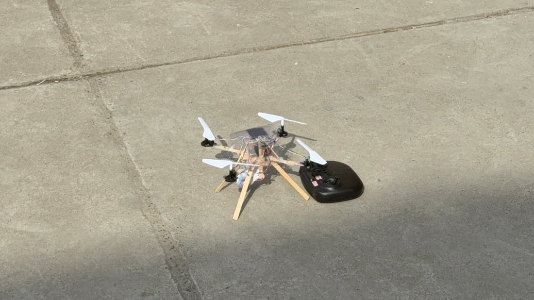 کارەبا و درۆن دەبێتە داهێنان بۆ بیرۆکەی دوو قوتابی