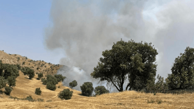 Fire in Bamo mountains contained after five days with nearly 500 acres burned
