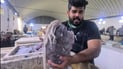 فيديو: الكاليماري ضمن قائمة مبيعات مرسى النقعة.. طبق تركي على موائد العراقيين