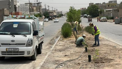 بە 450 دار  بلوارەكانی بنەسڵاوە سەوزدەكرێن