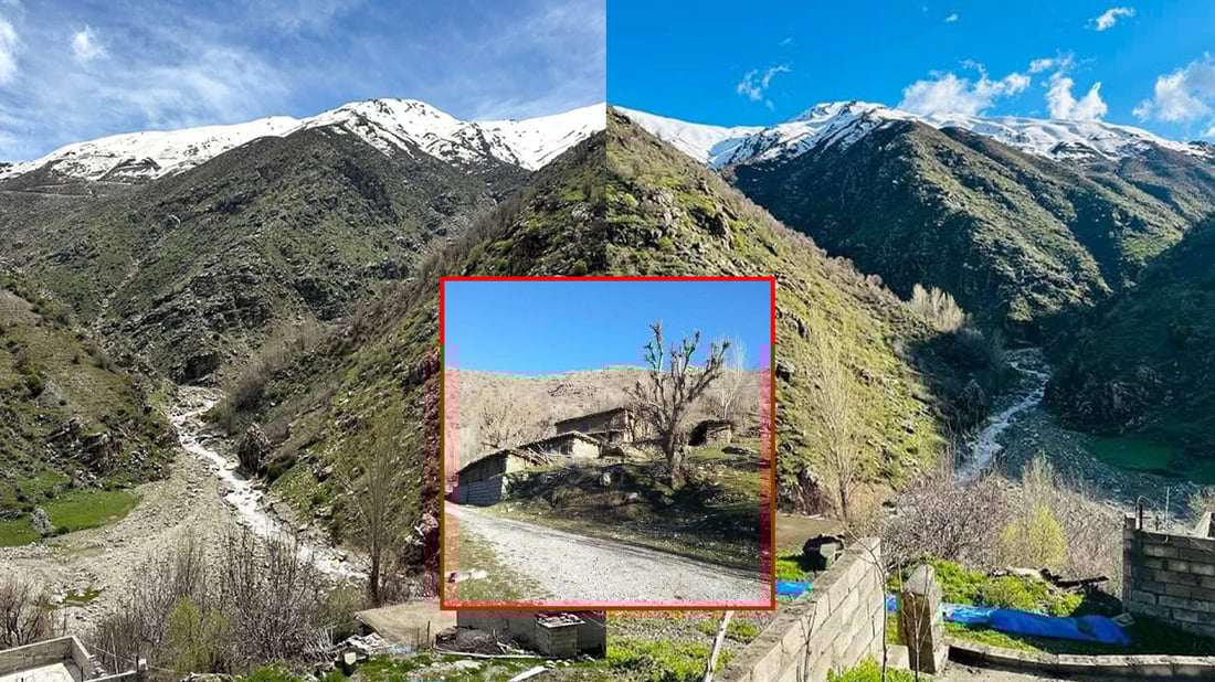 چه‌ند گوندێكی باڵه‌ییان كار له‌سه‌ر مانه‌وه‌ و به‌رده‌وامى گژوگیاى به‌هاره‌ ده‌كه‌ن