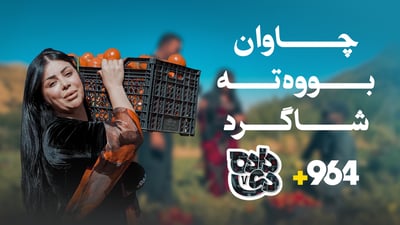 چاوان لە وێزێ دەبێتە جووتیار؛ بەزمی تەماتەڕنین و بەشوودانی لە “دادەدێ”