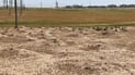 Mass grave discovered near of Topzawa believed to contain remains of Anfal campaign victims
