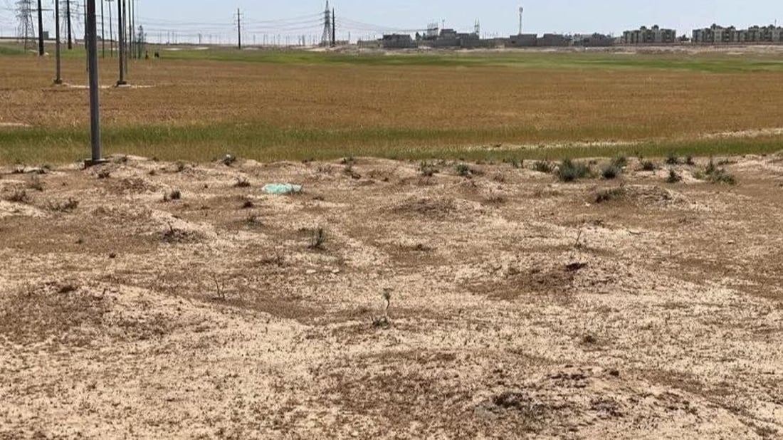 Mass grave discovered near of Topzawa believed to contain remains of Anfal campaign victims
