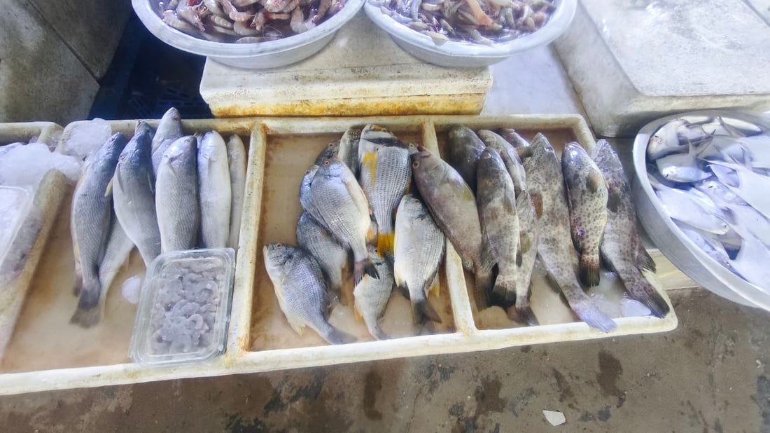 “الگبگب” ينعش مطاعم البصرة.. 5 أطنان وصلت بسعر 2000 دينار للكيلو (صور)