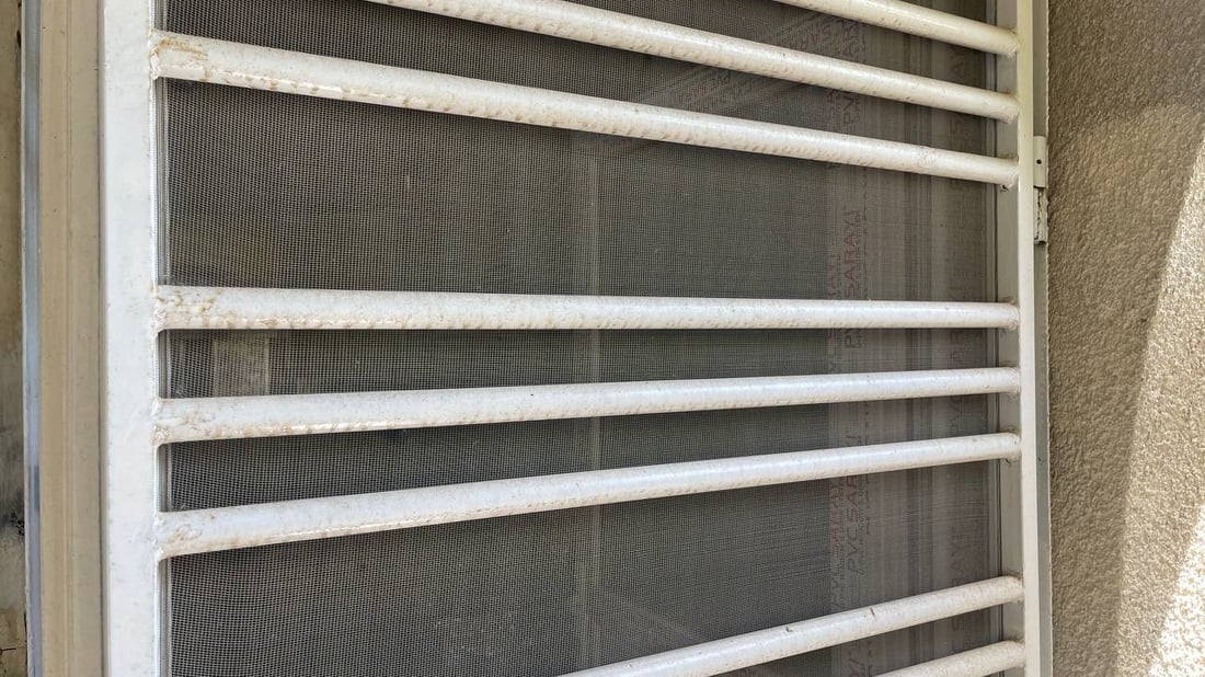 البعوض يغزو العراق مع نهاية الشتاء.. “استنفار” شعبي ورسمي في بعقوبة