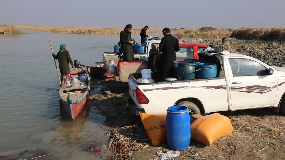 أهوار الجبايش: حليب الجاموس يقفز 60 %.. تراجع العلف والإنتاج (صور)