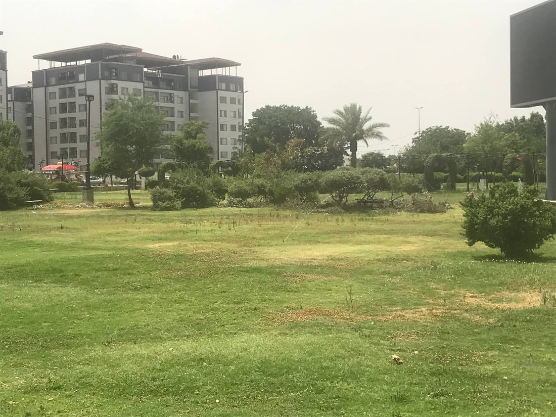 صور تهدئ الأعصاب: أشجار وثيل طبيعي لتزيين متنزهات البياع غربي بغداد