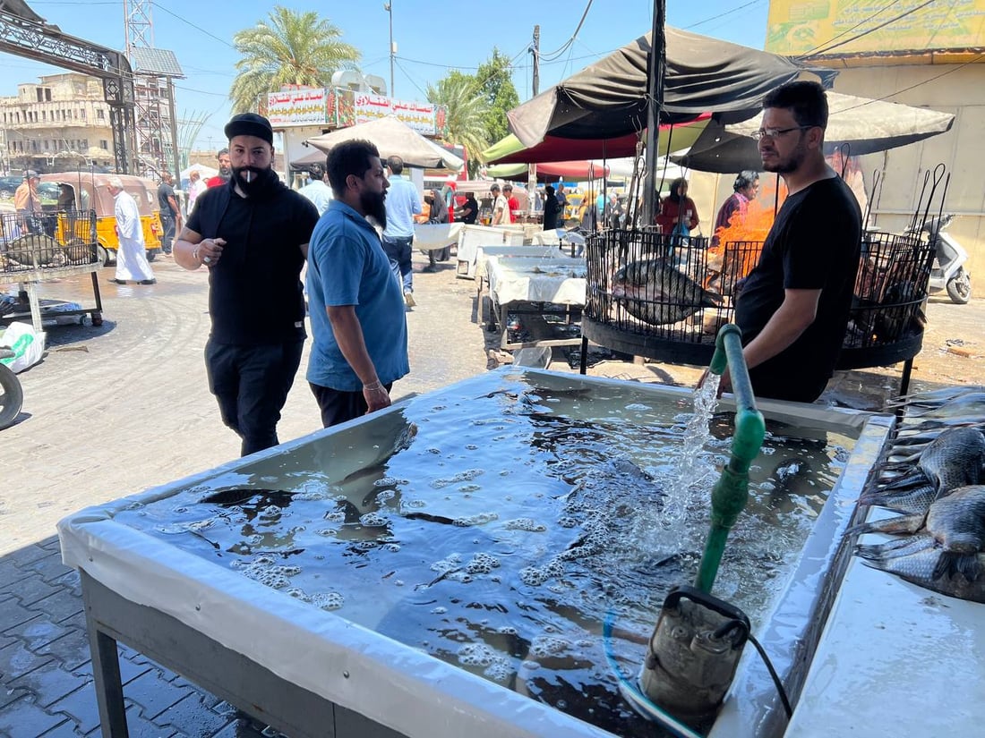 سوق الشوّاكة: الأربعاء مخصص لأكل السمك عند البغداديين وهذه أسعار البني والكارب (صور)