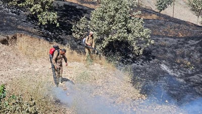 Fire destroys nearly 500 acres of land and thousands of trees near Dukan