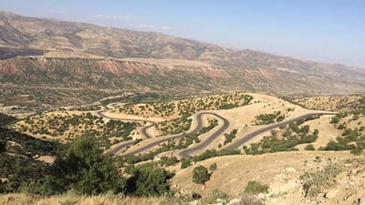 ژینگەی هەولێر لەدژی دوو دار بڕ هانا بۆ دادگا دەبات