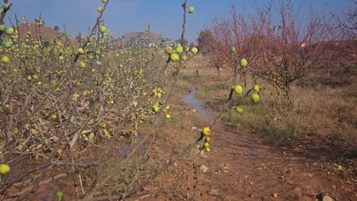 “ئێوە یەكەم كەناڵن هاتوون و بە زەرەری ئێمە دڵتەنگن”