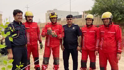 پشیلەیەک لە مردن رزگار کرا