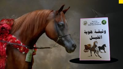 مه‌خمور ناسنامه‌ و پاسپۆرت بۆ 10 ئه‌سپه‌كه‌ى دروست ده‌كات