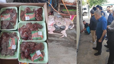 لە ناحیەی شۆڕش بڕێکی زۆر جگەری بەستوو دەستی بەسەرداگیرا