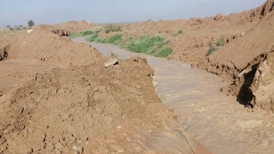 الزراعة تكلف المحافظين بحصر أضرار الفلاحين من السيول تمهيداً للتعويضات