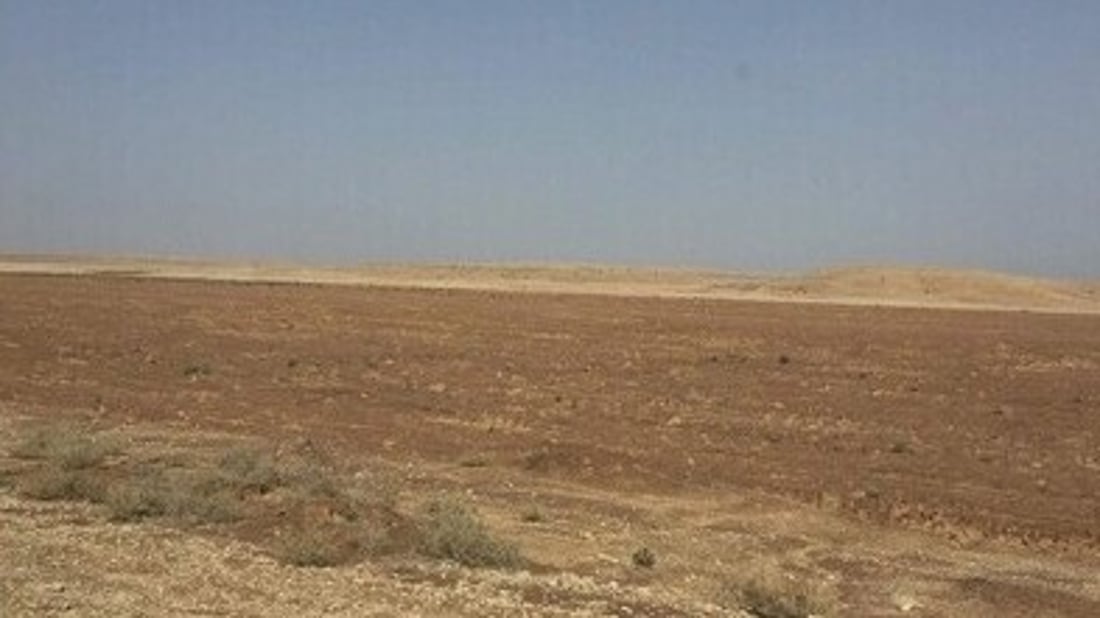 النزاهة توقف بيع عقار مساحته 550 دونماً بـ 13 مليار دينار في الأنبار