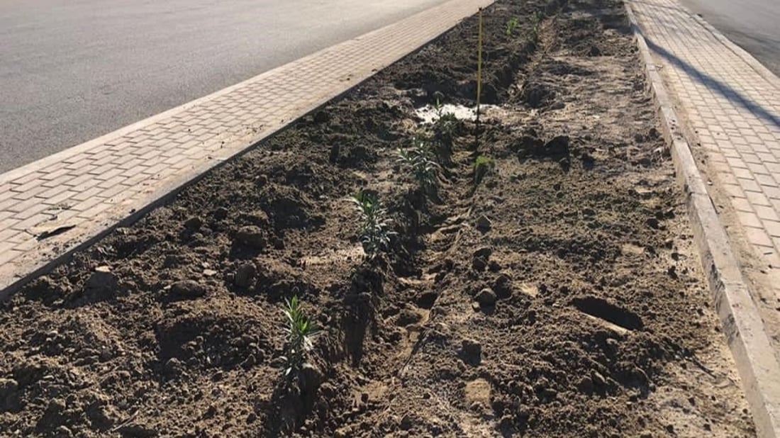 أهالي “حي الجهاد” ليسوا معجبين بخطة البلدية: تركت المكبات وراحت تزرع!