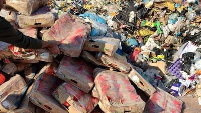 10 تۆن و نیو مریشکی بەستوو له‌ناوبرا