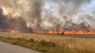 نزیکەی 100 دۆنم گەنم و ژمارەیەک داری بەردار سووتان