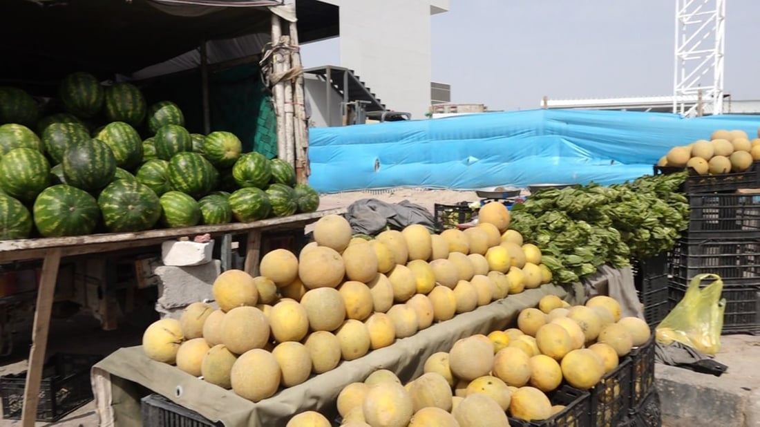 كل شيء متوفر في علوة البصرة.. المستورد والمحلي وصلا في وقت مناسب (صور)