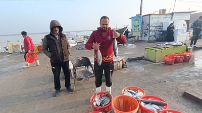 الانتخابات خفضت المعروض ورفعت الأسعار في مرسى النقعة (صور)