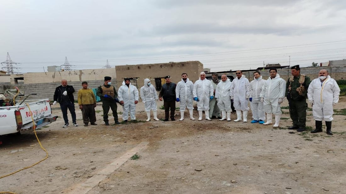 پەڕلەمانتارێکی عێراق: ئاژەڵی دەرەوە ئەوانەی خۆمانیان نەخۆش خستووە