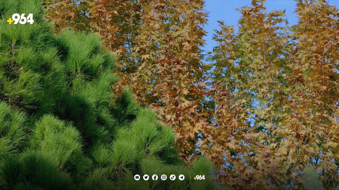 هەولێر چارەسەری وشکبوونی پارکەکانی کرد