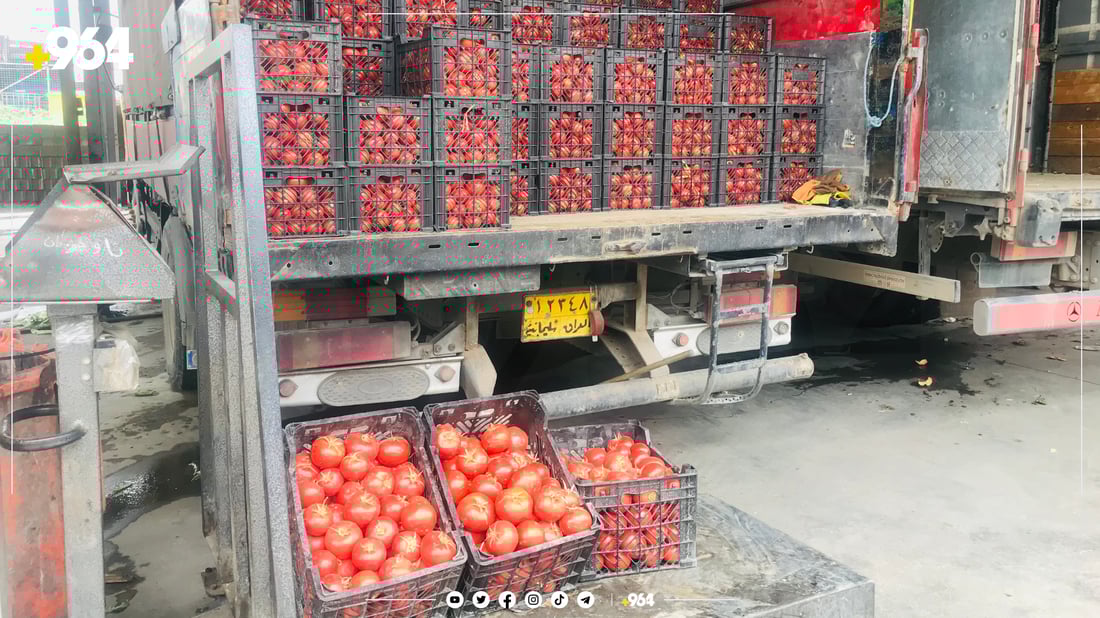 بەرهەمی ئێرانی نەبێت نرخی تەماتە رکابەری پیاز دەکات