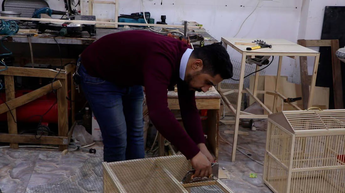 Al-Kut bird sellers innovate with bespoke bird cages