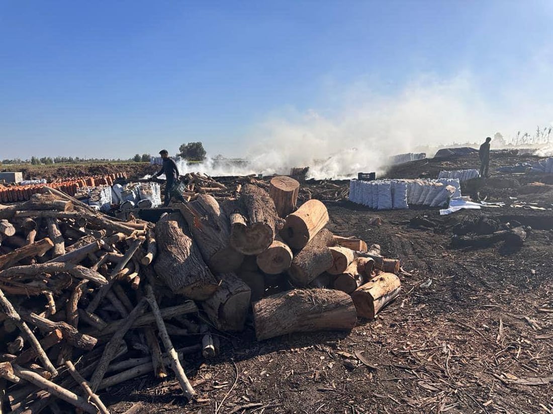 الشوي على خشب حمضيات ديالى ليس كغيره.. الفحامة في أفضل حال والمنتوج إلى البصرة