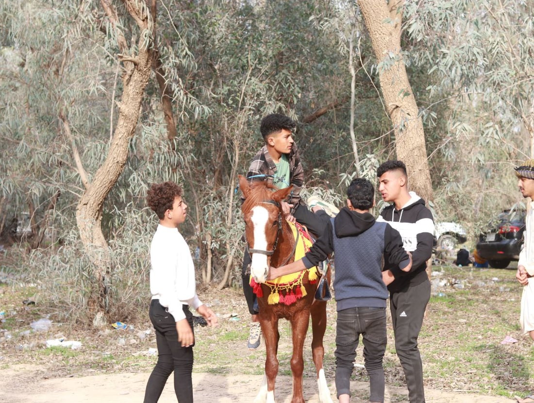 صور: يوم جميل في دبس كركوك.. غابات “شناغة” مساحة العوائل لـ”سفرات الجمعة”