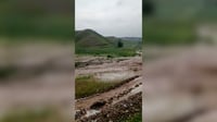 (فيديو) تيار جارف في وديان آلتون كوبري.. الرعاة والمزارع...
