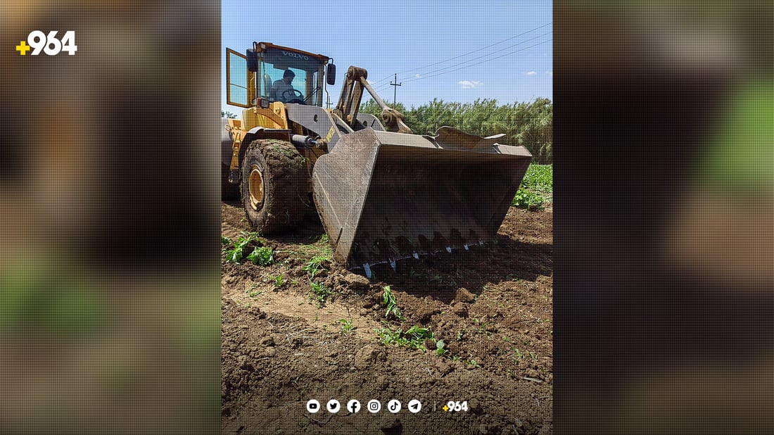 رانیە: ئه‌و كێڵگه‌ سه‌وزانه‌ى به‌ ئاوى پیس ئاوده‌دران تێكدران