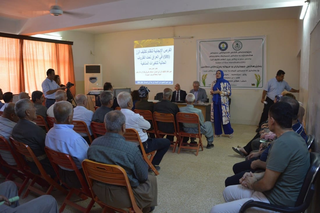 رێگەی چڕی فێری ئەو جوتیارانە کرا کە برنج دەچێنن