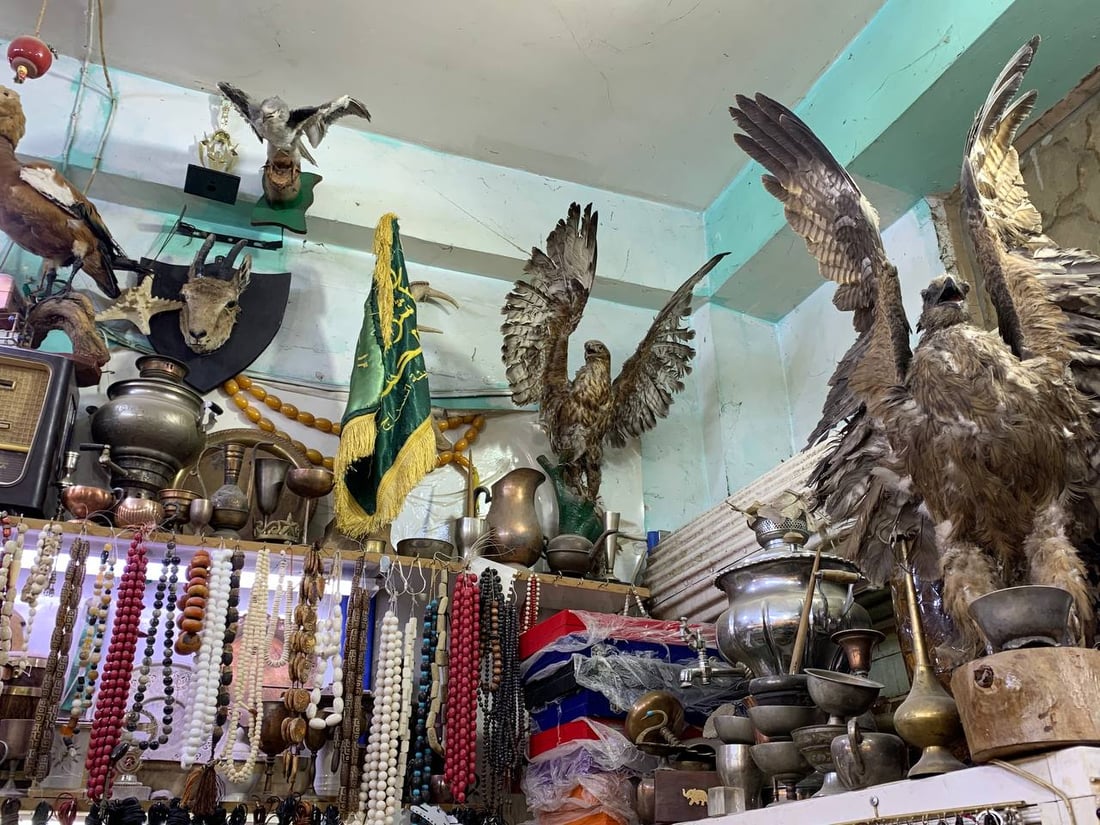 أسد ودب قطبي وأرخصها الهدهد.. الكربلائي تعلم التحنيط واشتهر في كّل العراق (صور)