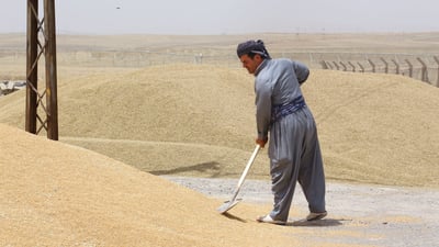 بەغدا پشکی هەرێمى بۆ وه‌رگرتنى گەنم دیاریکرد