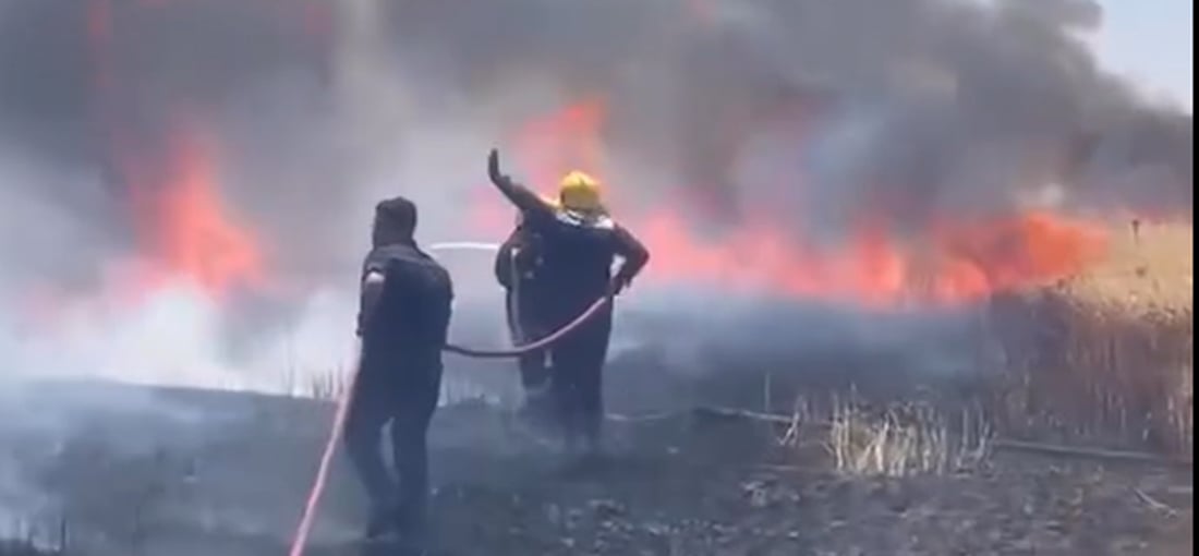 زیاتر لە 25 دۆنم گەنم و جۆی جوتیاران بووە خۆڵەمێش