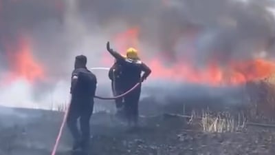 زیاتر لە 25 دۆنم گەنم و جۆی جوتیاران بووە خۆڵەمێش