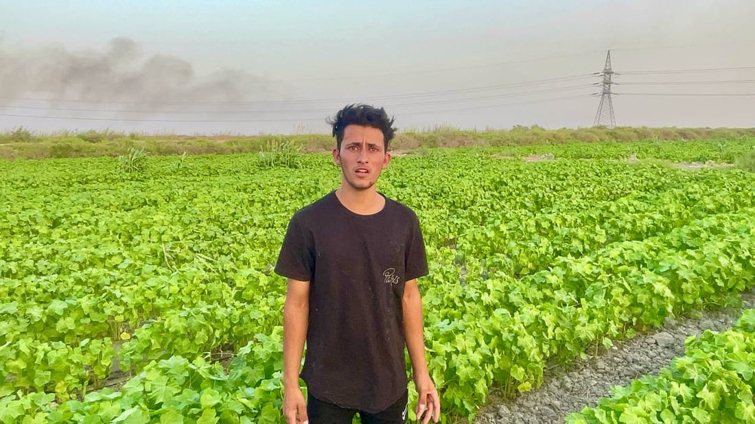 صور من بساتين شمال البصرة: نزرع كل شيء لكن الحكومة تدعم الزبير فقط!