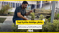 ينتظر موافقة متأخرة ليبدأ.. سجاد يزرع الأشجار النادرة ف...