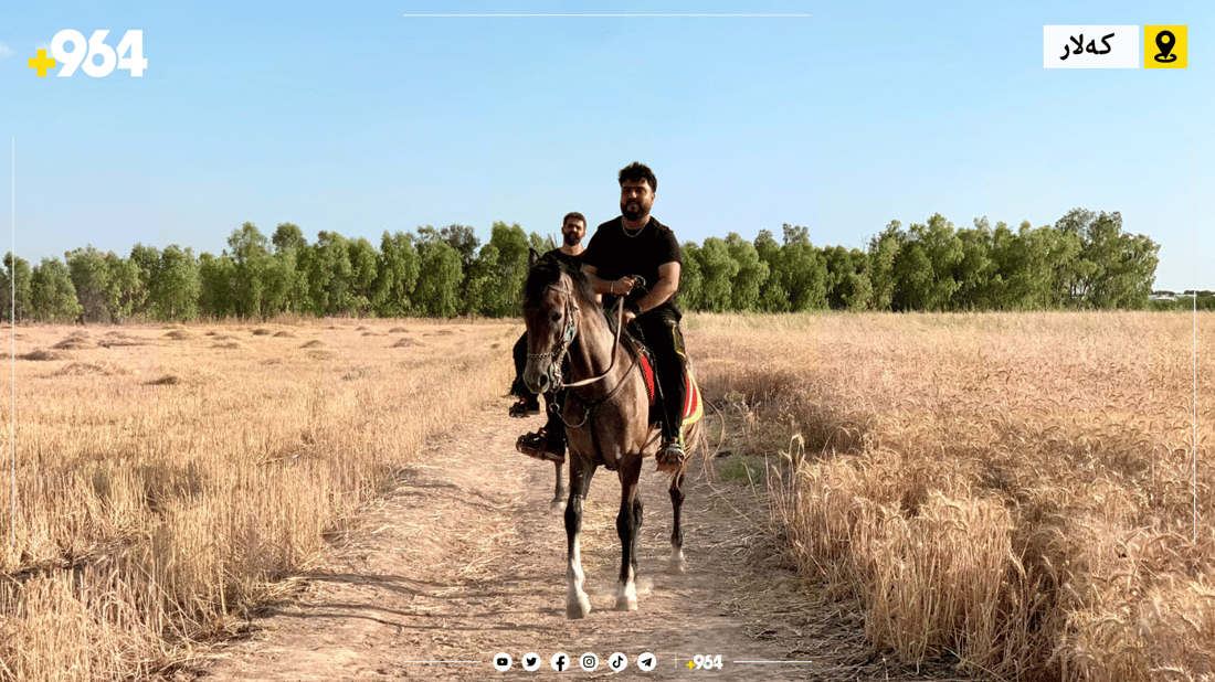 ئێستا دەتوانیت لە کەلار خۆت فێری ئەسپسواری بکەیت