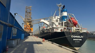 مرفأ الحنطة الوحيد عاد للعمل.. باخرة رومانية تدخل سايلو أم قصر