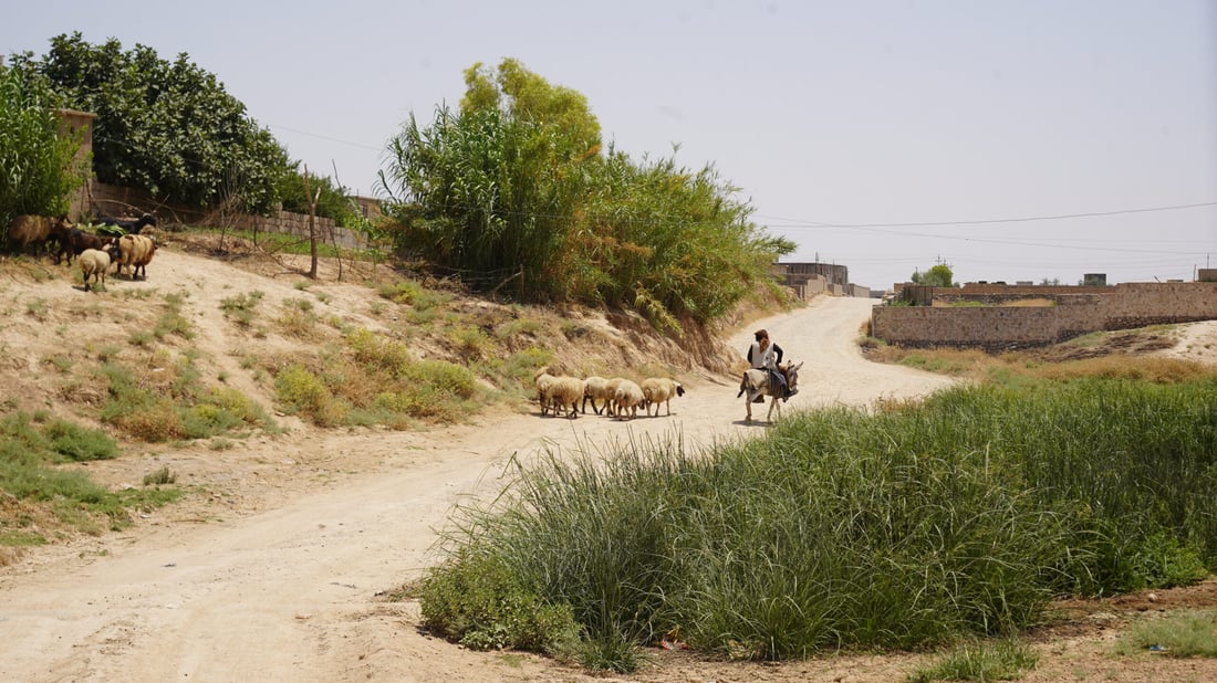 صور: الحكيم وأبو ماريا والعاشق.. تلعفر تشق الطريق والتفاصيل من القائمقام