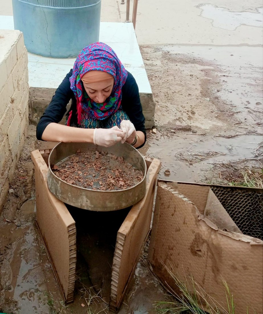 العثور على بقايا سمكة “مشوية” كبيرة من العهد السومري (صور)