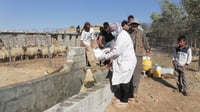 دوو حاڵەتی تووشبوون بە تای خوێنبەربوون تۆمار کرا
