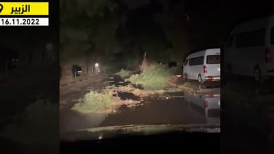 فيديو: أمطار البصرة قلعت الأشجار وأغلقت الطرق