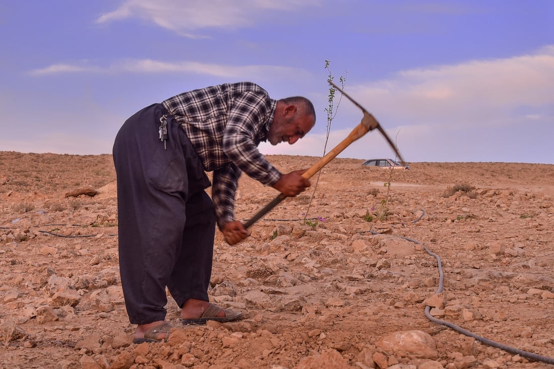 لەسەر چیای قەرەچوغ هەڵمەتێکی چاندنی دار توو و زەیتوون بەڕێوەچوو