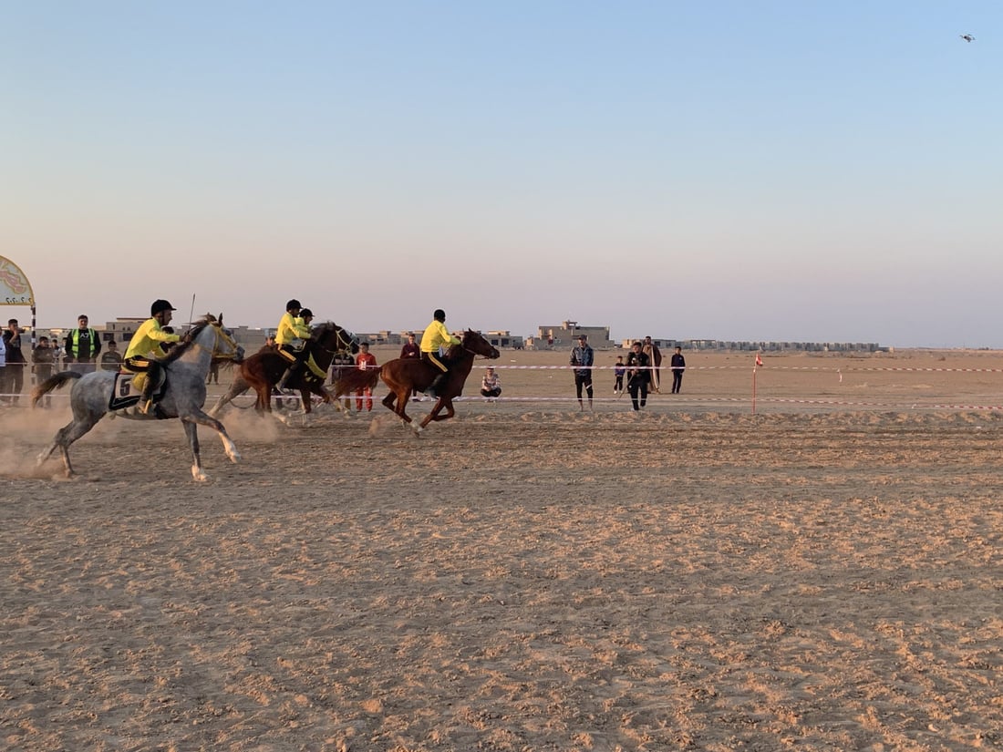 27 فارسا على خيول “الواهو” والجياد العراقية يتنافسون في مضمار الدور (صور)