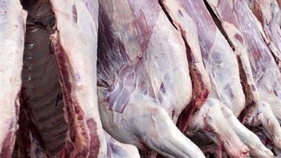 لە سنە 11 تۆن گۆشتی هێستر دەستی بەسەرداگیراوە